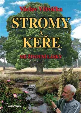 Stromy a keře. Mé životní lásky