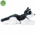 Plyšový pes husky s obojkem ležící 60 cm ECO-FRIENDLY