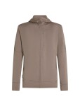 ICEBREAKER Mens Mer 260 Quantum IV LS Zip Hoodie, Porcini velikost: XL