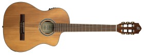 Ortega RCE23RO