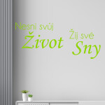 Samolepka Nesni svůj život žij své sny Barva: růžová, Velikost: 40 x 18 cm