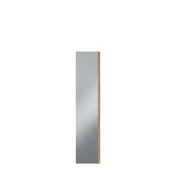 Dveře skříně se zrcadlem Moduklix 226,9x49,4 dub Mauvella