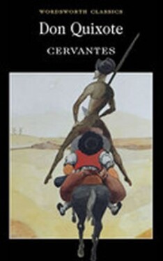 Don Quixote - Cervantes Miguel de
