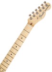 Fender American Performer Telecaster HUM MN VWT