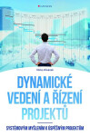 Dynamické vedení řízení projektů Mirko Křivánek