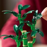 LEGO LEGO® Botanicals 10344 Bambus štěstí