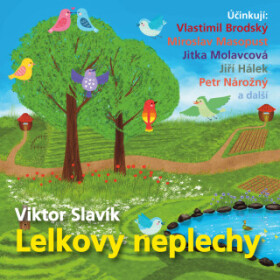 Lelkovy neplechy - Viktor Slavík - audiokniha