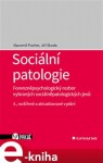 Sociální patologie