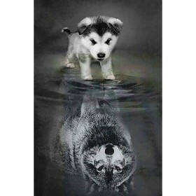 Diamantové malování - Pes a vlk v odrazu 40 x 50 cm (s rámem)