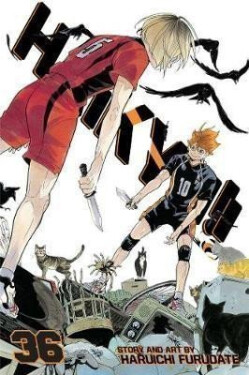 Haikyu!! 36 - Haruichi Furudate