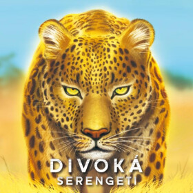 Ostatní společenské hry