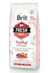 Brit Fresh Beef Pumpkin Puppy Large