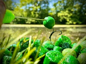 LK Baits Pop-up Euro Economic Amur Special Spice Shrimp 18mm 200ml,LK Baits Pop-up Euro Economic Amur Special Spice Shrimp 18mm 200ml