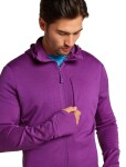 ICEBREAKER Mens Mer 260 QuantuMens IV LS Zip Hoodie, Passion (vzorek) velikost: S