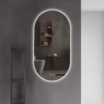 REA - Zrcadlo LED EGj 50x90 cm HOM-05524