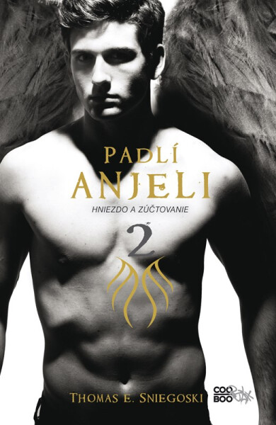 Padlí anjeli 2 - Thomas Sniegoski