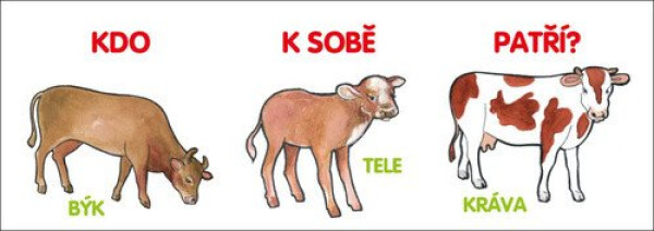 Kdo sobě patří?