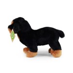 Eco-Friendly rotvajler stojící 18 cm