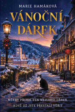 Vánoční dárek - Marie Hamáková