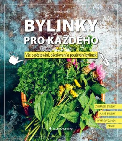 Bylinky pro každého - Axel Gutjahr - e-kniha