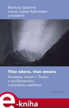 Vize zdaru, vize zmaru - Ivana Lukeš Rybanská, Barbora Spalová (e-kniha)