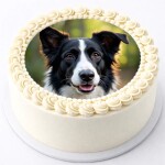 Obrázek Jedlý papír na dort Pes Border kolie