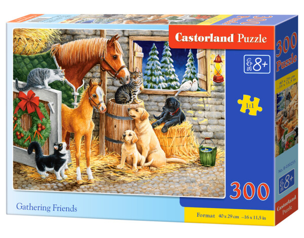 Puzzle Castorland 300 dílků - Setkání přátel ve stáji