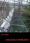 Oblázek v peřejích - Jan Vítek