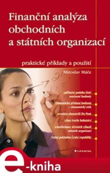 Finanční analýza obchodních a státních organizací. praktické příklady a použití - Miroslav Máče e-kniha