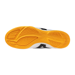 Kopačky Mizuno MRL SALA CLUB IN Q1GA251620 Velikost obuvi v EU: 42,5