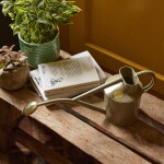 HAWS Konvička s kropítkem Rowley Ripple Lichen Green – 1 l, béžová barva, kov