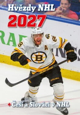 Hvězdy NHL 2027