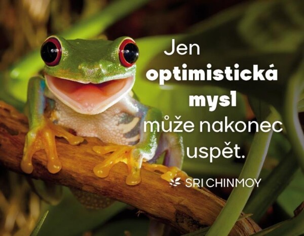 Magnet na lednici &quot;Jen optimistická mysl může nakonec uspět&quot; - Sri Chinmoy