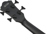 Ibanez AEGB420 BOT