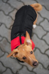 Slim-rainy obleček pro psa na zip Barva: Černo-červená, Délka zad (cm): 51, Obvod hrudníku: 74 - 80 cm