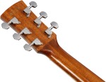 Ibanez AC390CE-NT