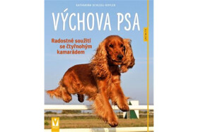 Výchova psa