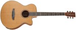 Tanglewood TRU4 CE PW