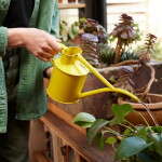 HAWS Konvička na zalévání Fazeley Flow Lotus Yellow – 1 l, žlutá barva, kov