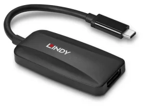 Lindy 43337 USB-C - DisplayPort 1.4 černá / Převodník / 8K 60Hz / HDCP 2.2 (43337)