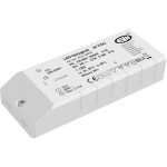 BIG WHITE (SLV) Můstkový LED driver 42 W, 500 mA pro NUMINOS®, včetně radiofrekvenčního rozhraní pro modul RF, DALI 1006459