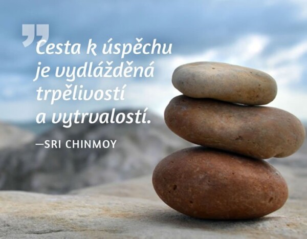 Magnet na lednici - Cesta k úspěchu je vydlážděná trpělivostí a vytrvalostí. - Sri Chinmoy