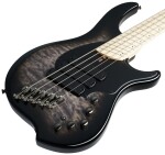 Dingwall Combustion 5 MN Black Burst