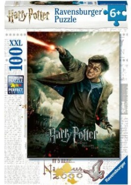 Harry Potter 100 dílků