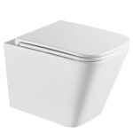 GEBERIT DuofixBasic s matným tlačítkem DELTA21 + WC INVENA FLORINA WITH SOFT, včetně soft/close sedátka 458.103.00.1 21MA FL1