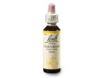 Habr obecný (Hornbeam) 20 ml - Bachovy esence Dr.Bach
