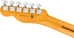 Fender American Professional Hot Shot Telecaster RW DK NIT