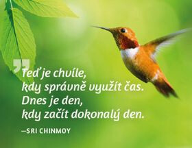 Magnet na lednici - Teď je chvíle, kdy správně využít čas. Dnes je den, kdy začít dokonalý den. - Sri Chinmoy