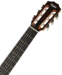 Taylor Academy 12e-N