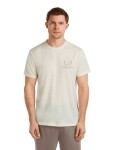 ICEBREAKER Mens Mer 150 Tech Lite SS Tee Peaceful Pass, Ecru Hthr velikost: XL